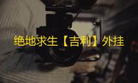 绝地求生【吉利】外挂